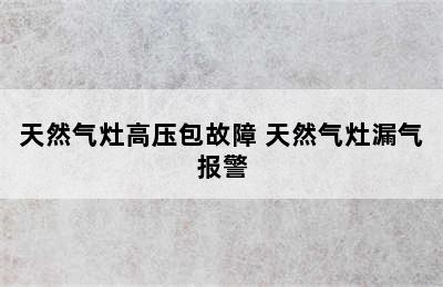 天然气灶高压包故障 天然气灶漏气报警